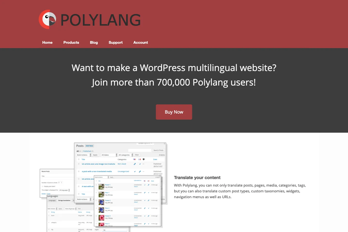 Polylang for WordPress