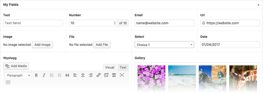 WordPress ACF Fields