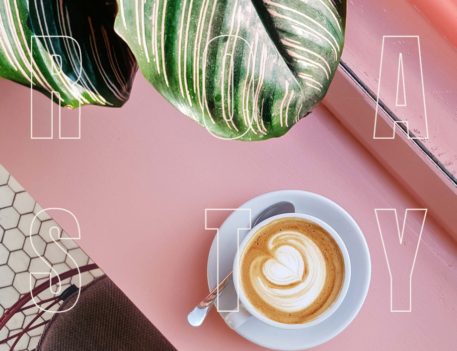 Roasty Coffee website and branding by London WordPress agency Fhoke.