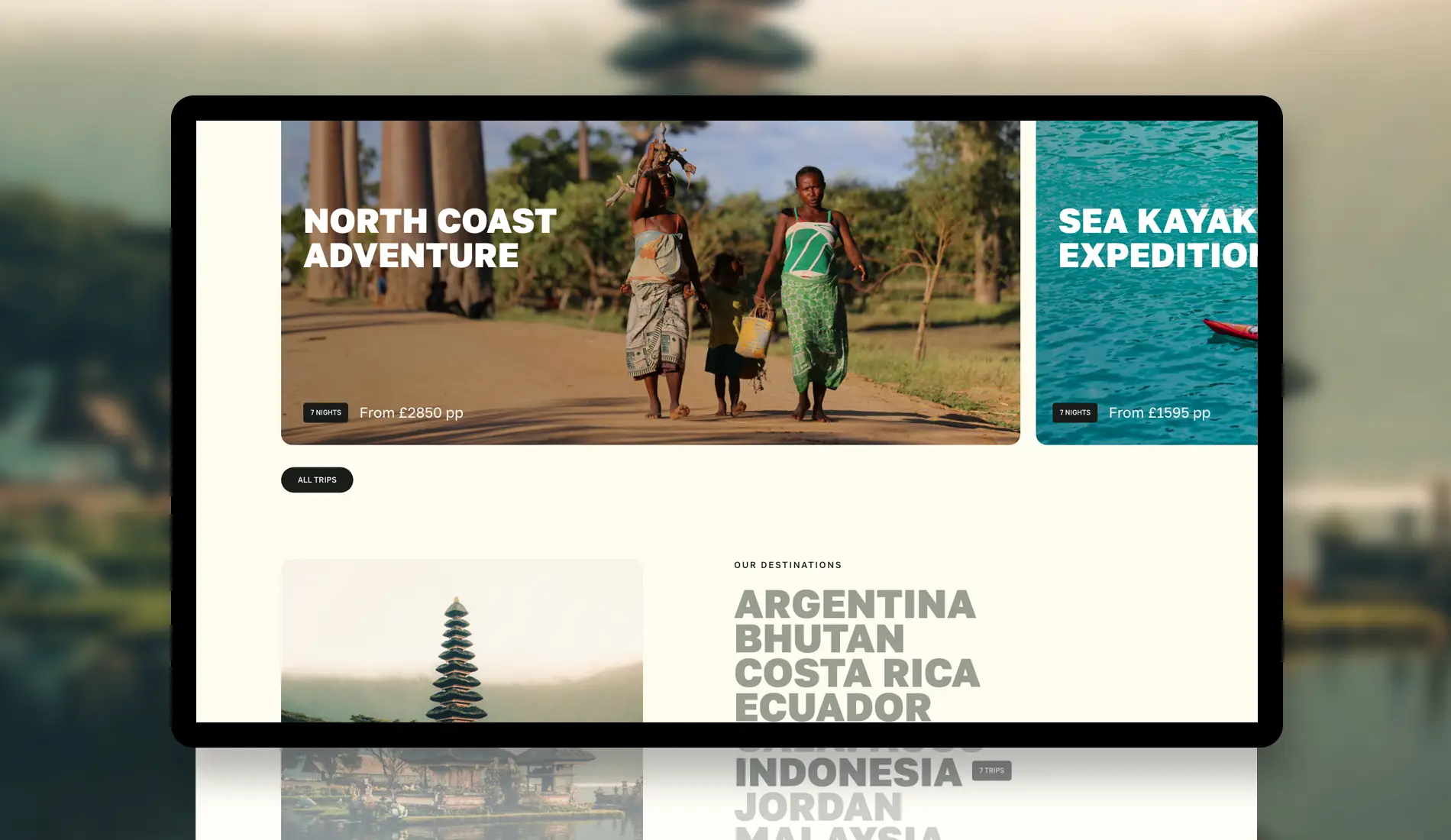 Pioneer Expeditions Website Design