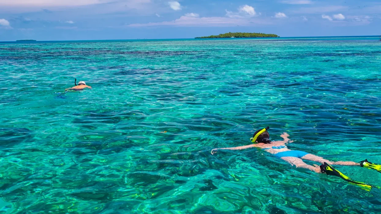 people snorkeling