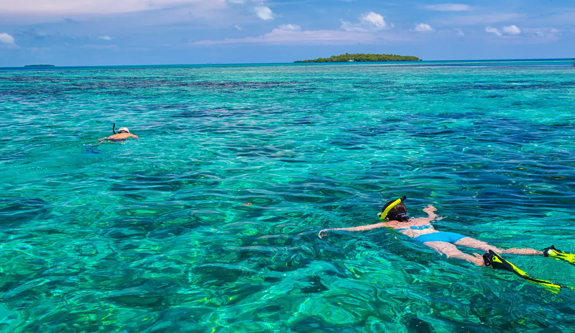 people snorkeling